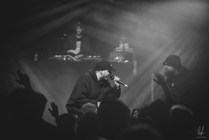 B&amp;W-BCONE-APE-Schungfabrik2024-byLugdivine-373