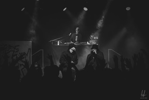 B&amp;W-BCONE-APE-Schungfabrik2024-byLugdivine-381