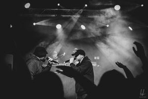 B&amp;W-BCONE-APE-Schungfabrik2024-byLugdivine-383