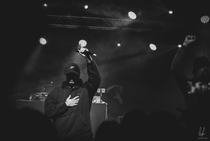 B&amp;W-BCONE-APE-Schungfabrik2024-byLugdivine-384