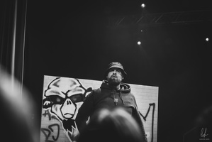 B&amp;W-BCONE-APE-Schungfabrik2024-byLugdivine-385