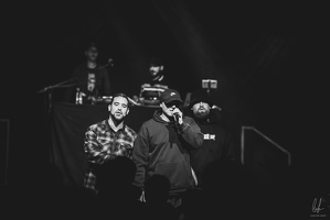 B&amp;W-BCONE-APE-Schungfabrik2024-byLugdivine-407