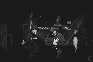 B&amp;W-BCONE-APE-Schungfabrik2024-byLugdivine-410