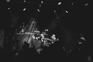 B&amp;W-BCONE-APE-Schungfabrik2024-byLugdivine-411