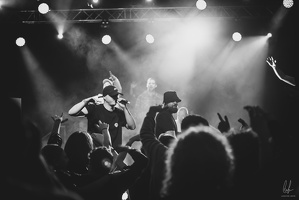 B&amp;W-BCONE-APE-Schungfabrik2024-byLugdivine-425