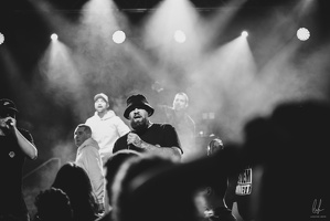 B&amp;W-BCONE-APE-Schungfabrik2024-byLugdivine-426