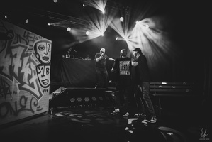B&amp;W-BCONE-APE-Schungfabrik2024-byLugdivine-451