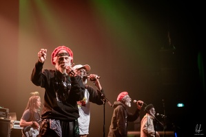 colors-TheCongos-Metz-2024-byLugdivineUnfer-59