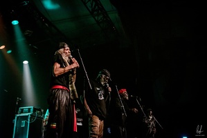 colors-TheCongos-Paris-2024-byLugdivineUnfer-313