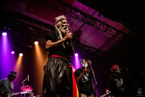 colors-TheCongos-Paris-2024-byLugdivineUnfer-335