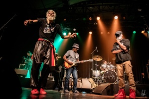 colors-TheCongos-Paris-2024-byLugdivineUnfer-349
