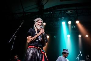 colors-TheCongos-Paris-2024-byLugdivineUnfer-351