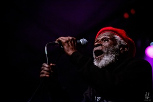 colors-TheCongos-Paris-2024-byLugdivineUnfer-446