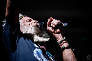 colors-TheCongos-Paris-2024-byLugdivineUnfer-453