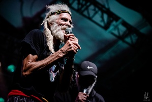 colors-TheCongos-Paris-2024-byLugdivineUnfer-456