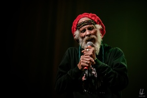 colors-TheCongos-Metz-2024-byLugdivineUnfer-192