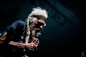 colors-TheCongos-Paris-2024-byLugdivineUnfer-457