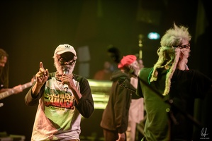 colors-TheCongos-Metz-2024-byLugdivineUnfer-197
