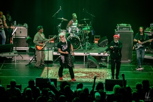 colors-TheCongos-Metz-2024-byLugdivineUnfer-200