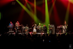 colors-TheCongos-Metz-2024-byLugdivineUnfer-208