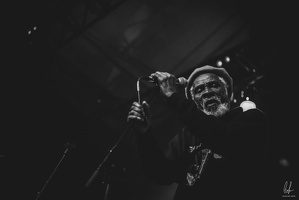 TheCongos-Paris-2024-byLugdivineUnfer-367