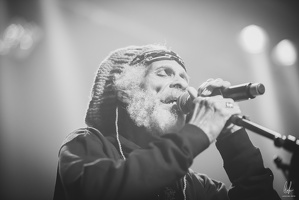 TheCongos-Metz-2024-byLugdivineUnfer-210