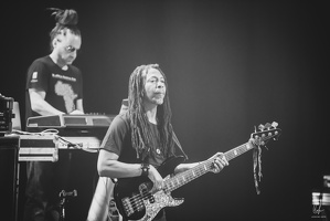 TheCongos-Metz-2024-byLugdivineUnfer-214