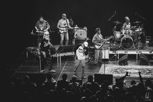 TheCongos-Metz-2024-byLugdivineUnfer-217