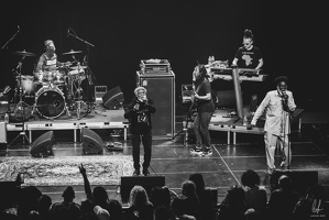 TheCongos-Metz-2024-byLugdivineUnfer-218