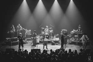 TheCongos-Metz-2024-byLugdivineUnfer-223