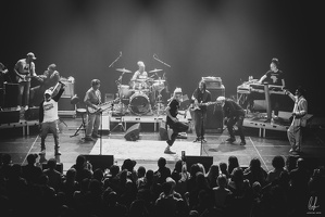 TheCongos-Metz-2024-byLugdivineUnfer-224