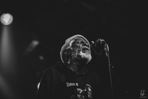 TheCongos-Paris-2024-byLugdivineUnfer-459