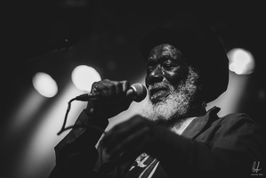 TheCongos-Paris-2024-byLugdivineUnfer-465