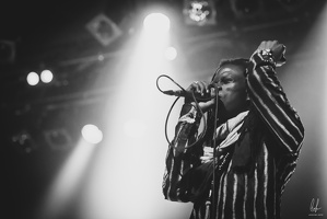 TheCongos-Paris-2024-byLugdivineUnfer-468
