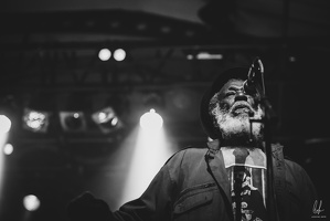 TheCongos-Paris-2024-byLugdivineUnfer-470