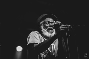 TheCongos-Paris-2024-byLugdivineUnfer-483