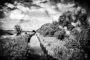 B&amp;W-Venessia2020-by-LugdivineUNFER-8